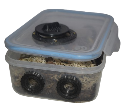 Starter Box A starter box is ideal for establishing new isopod colonies